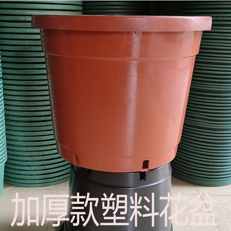 Thickened Plastic Flower Pot, Large Size, Breathable, Simple Design, Suitable for Flowers and Fruit Trees, Extra-Large Diameter, Round Red Bucket-Style Gallon Pot Thickened Plastic Flower Pot, Large Size, Breathable, Simple Design, Suitable for Flowers and Fruit Trees, Extra-Large Diameter, Round Red Bucket-Style Gallon Pot