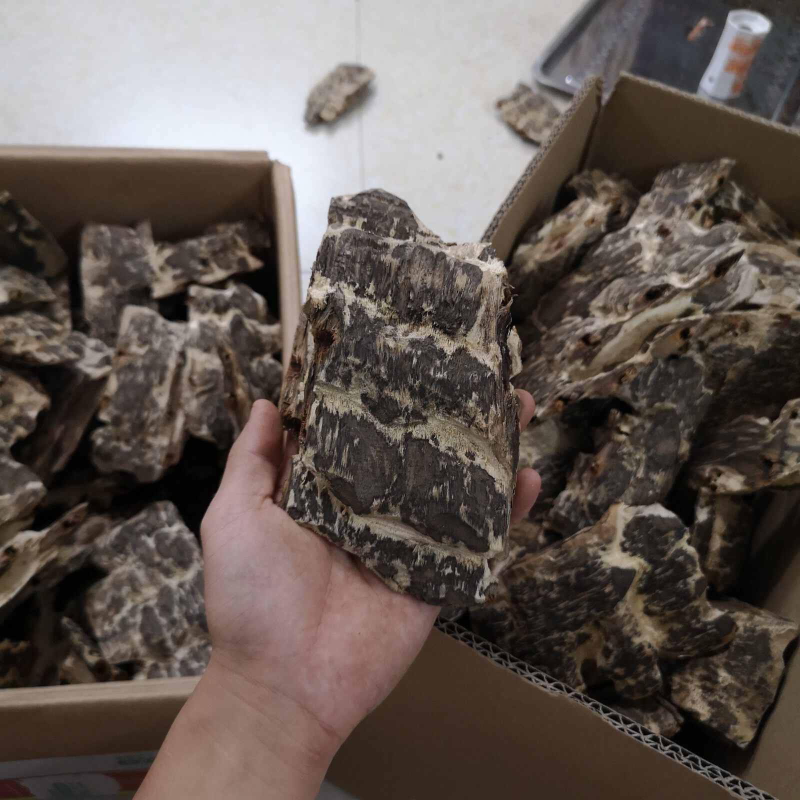 Hainan natural black oil agarwood old material drilling and nail knot incense agarwood material High oil black oil natural agarwood nail eye