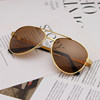 Men's Polarized Sunglasses, Avant-Garde Large-Frame Resin Glasses, Sunglasses, Universal Sports Aviator-Style Toad Glasses