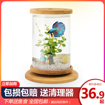 Ornamental eco bottle creative bucket small mini Thai bucket fish tank office desktop bucket fish tank rotating fish tank
