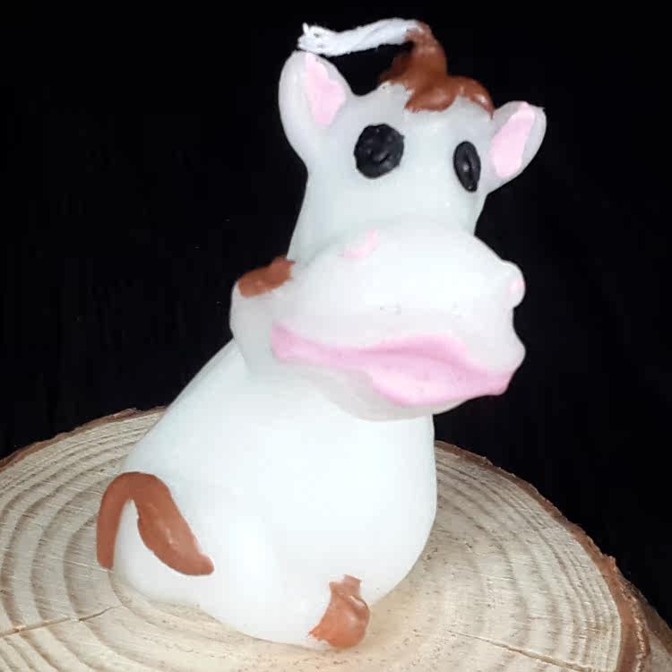 Bougie - Ref 2487082 Image 16