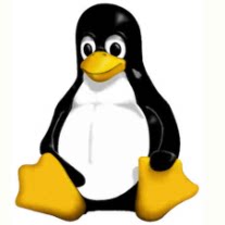 Linux Kernel