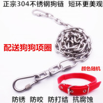 304 stainless steel leash large medium and small dog traction chain golden hair husky pet Bolt dog rope lengthy