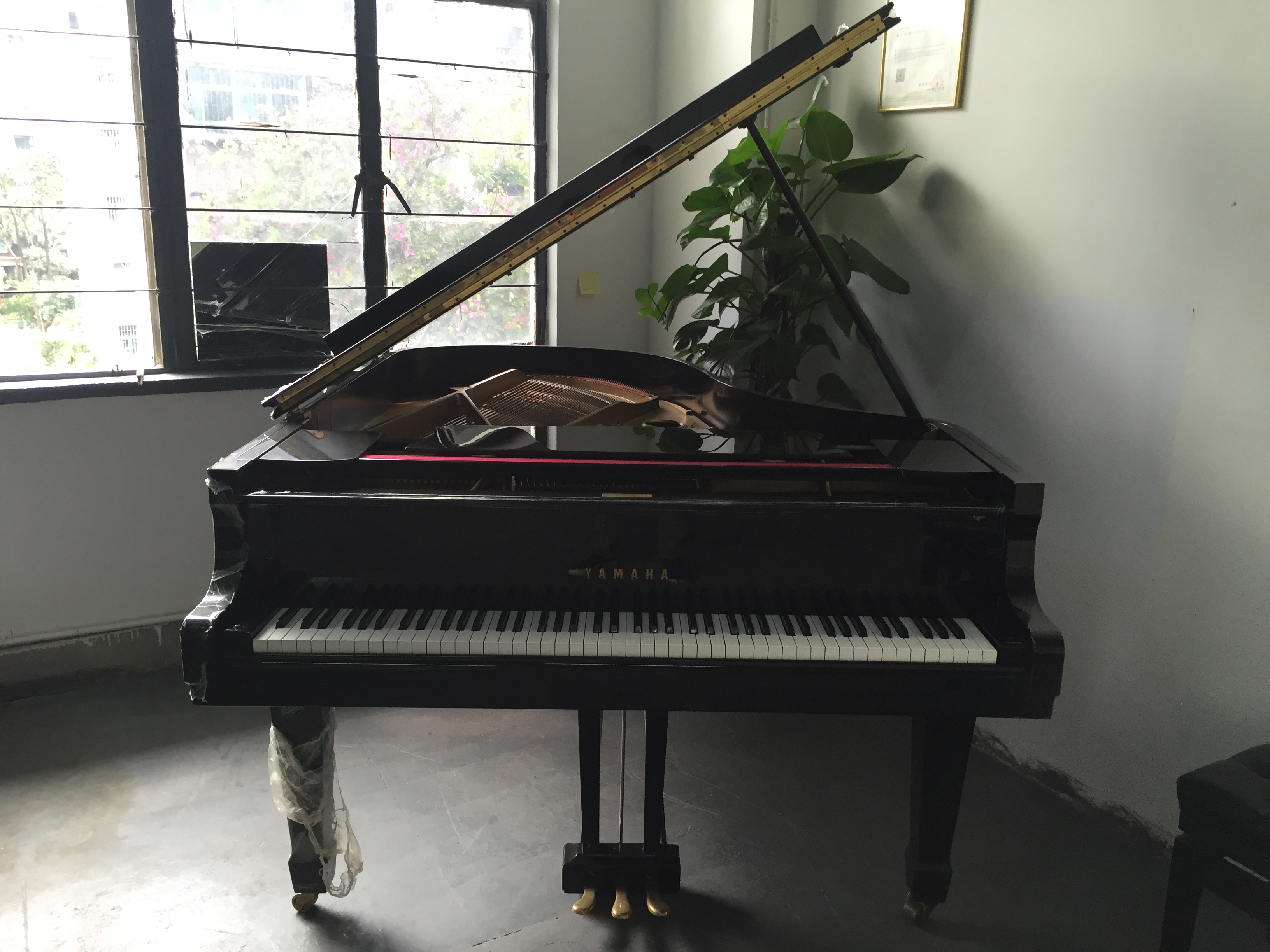 Cho thuê đàn piano Thâm Quyến Đông Tạng cho thuê đàn piano điện miễn phí vận chuyển thuê đầu tiên và mua miễn phí cho thuê tam giác hiệu suất yamaha clp 645