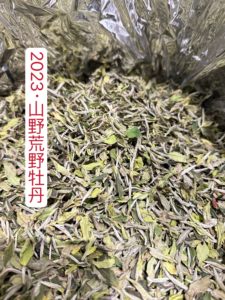 Spring drunk 2023 wilderness flower fragrance white peony first batch of wilderness tea is rich in quality