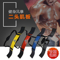 Biceps training board Dumbbell Barbell Gym equipment Biceps frame Arm trainer