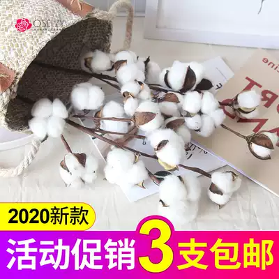10 Xinjiang cotton dry flower bouquet desktop decoration decoration real flower ins simulation kapok flower arrangement hipster
