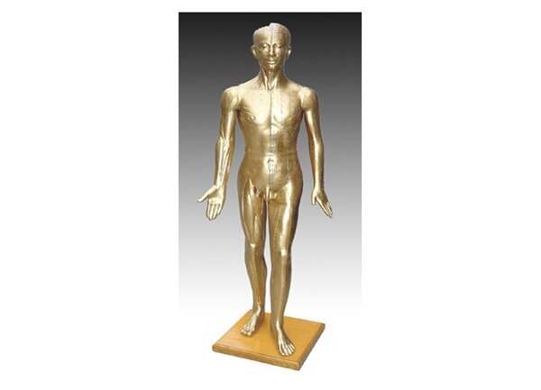 针灸铜人模型穴位铜人经络模型178CM 现货