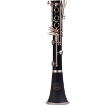Jinyin Instrument Clarinet CARE Ⅴ New Model Factory Direct Anti-Counterfeiting Inquiry