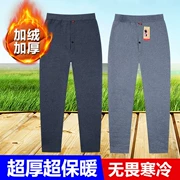 Trung và già đôi cộng với quần nhung dày ấm áp cotton nam cao eo nhung mùa đông quần legging dài