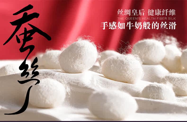 Sous-vêtement minceur L201 en nylon - Ref 693808 Image 19