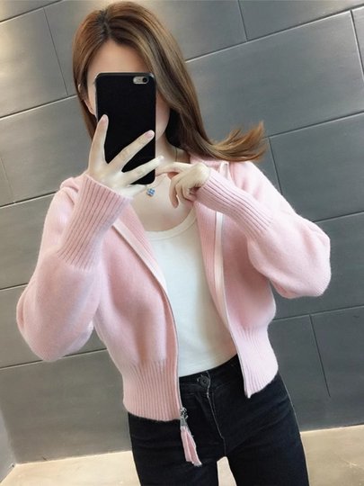 Spring and Autumn Short Knitted Cardigan for Women, 2025 New Fashion European Sweater Jacket, Petite Zipper Top