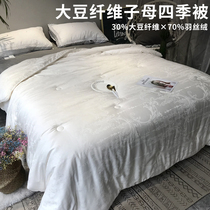 Spring and autumn primary and secondary quilts by winter Soybean fiber by summer single cotton quilts by double summer thin by summer cool air conditioning by the core