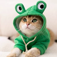 Осенняя зеленая толстовка