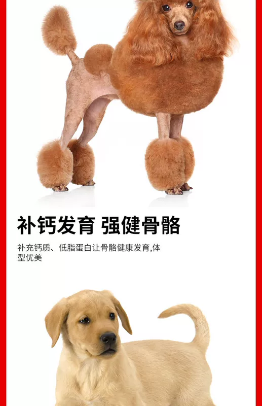 Chó ăn vặt lát gà 90g Teddy pet mol thanh bổ sung canxi con chó sạch răng loại bỏ hôi miệng đào tạo phần thưởng - Đồ ăn vặt cho chó