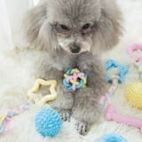 Dog Toy Lighting Ball Training Teddy Small Dog Puppy