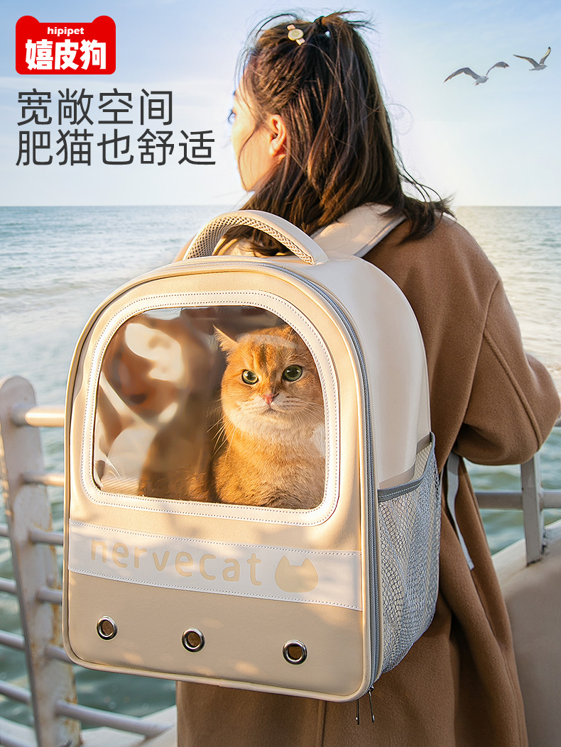 猫包外出便携大容量透气猫咪宠物背包太空舱狗包双肩帆布狗狗包包