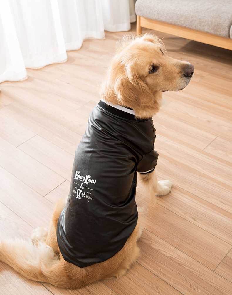 Labrador dog winter clothes Clearance