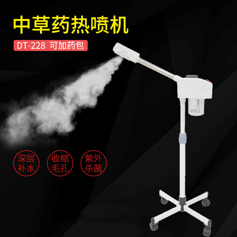 Taidong Steam DT-228 Chinese herbal medicine single heat sprayer beauty instrument aromatherapy ion steaming face steamer