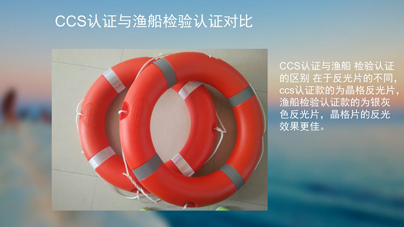 Phao cứu sinh chuyên nghiệp trẻ em người lớn bơi vòng nhựa 2,5kg nhựa dày rắn rắn tiêu chuẩn quốc gia bong bóng phao lưng tập bơi