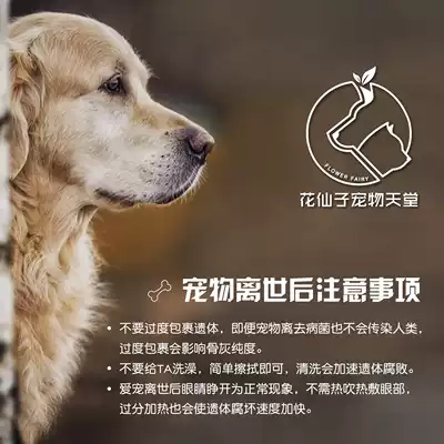 广西南宁宠物火化善后服务猫咪狗狗兔子仓鼠鹦鹉单独火化宠物葬礼