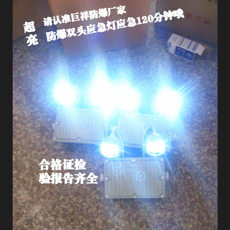 Explosion-proof emergency lighting lamp wall-mounted DC24V36V 3 hours 180 min 120 min sepp explosion type double head emergency lighting lamp
