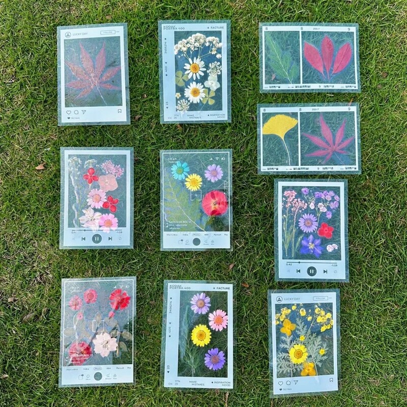 Fall Leaves Specimen Plastic-Sealed Collection of Autumn Leaves Handmade LAOSHU Bookmarks Transparent Embossed Bookmark Photo Frame Autumn Tree Fall Leaves Specimen Plastic-Sealed Collection of Autumn Leaves Handmade LAOSHU Bookmarks Transparent Embossed Bookmark Photo Frame Autumn Tree
