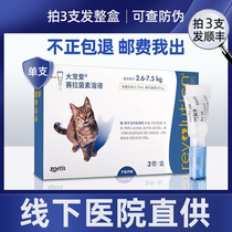Big pet external deworming cat Internal and external one cat Flea lice ear mite Cat deworming medicine Big pet deworming cat