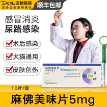 Ma Buddha delicious Tablet 5mg pet dog cold anti-inflammatory medicine dog cat skin urology infection Ma Buddha Micro