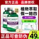 Green Cross Cat Grass Tablets Cat Grass Hair Ball Tablets Cat Grass Hair Ball Tablets Green Cross Flagship Store