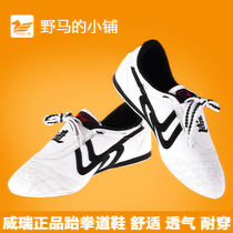 Children Taekwondo shoes Adult children Taekwondo shoes breathable wear-resistant rubber soles for men and women martial arts