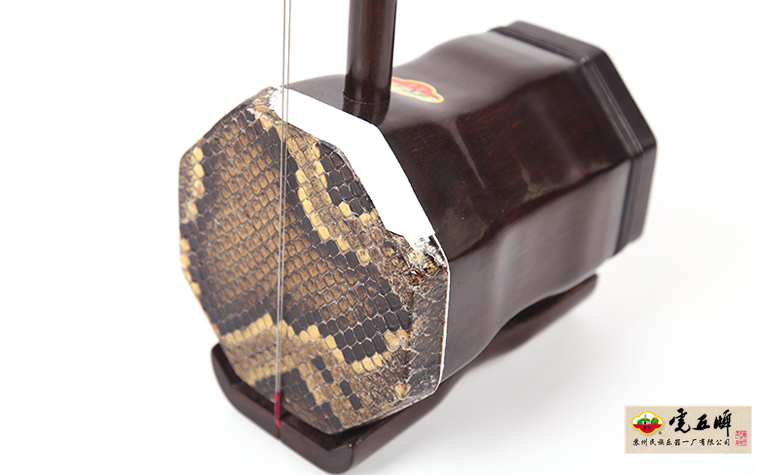 Ocean Wave Guitar Suzhou Huqiu 4 inch Zhonghu Mahogany Professional Zhonghu