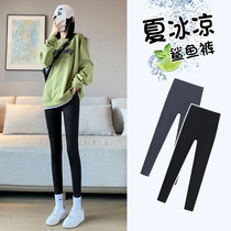 Shark Bottom Pants Woman outside wearing summer thin section High waist collection Hip Strong Pressure Slim Leg Little Subbarbie Yoga Pants