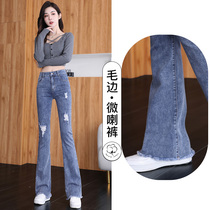 Breaking Hole Microlao Jeans Woman 2022 Summer New Korean version Ins Chauder edge High waist Straight drum Broadlegged Horn Pants