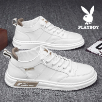 Floral Playboy mens shoes Spring Canvas Shoes Casual Board Shoes 2022 New Summer Breathable Thin LAZY CROWDS SHOES