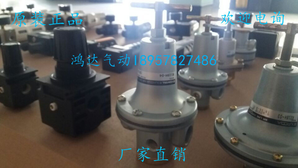 R119H-02 06 03 04 08 10 12 16R119-02 06 03 04 08 Pressure regulator regulator