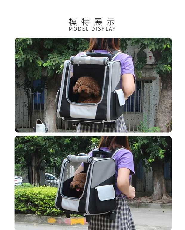 Pet Xe đẩy Cat Bag Dog Bag Outing Cat Bag Vai lớn Có thể tháo rời Ba lô Túi xách tay thoáng khí - Cat / Dog hàng ngày Neccessities