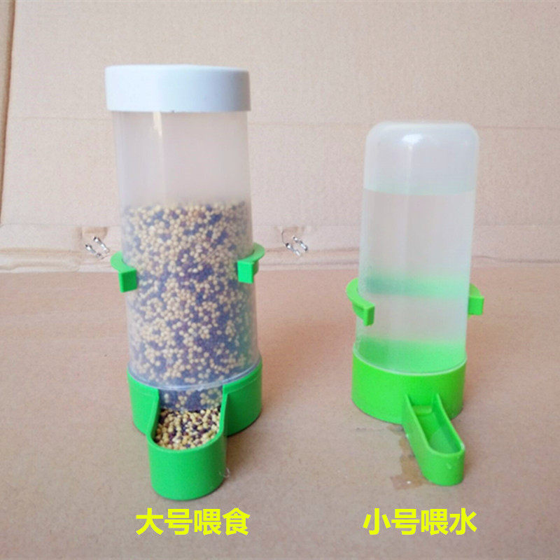 Starling Parrot Pigeon Bird With Automatic Drinker Water Feeder