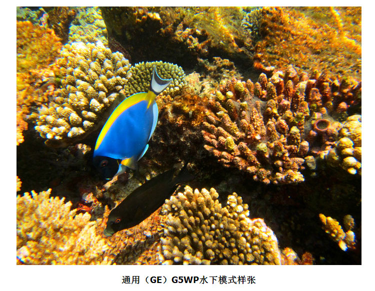 Máy ảnh GE / General G5WP HD Camera ba chiều kỹ thuật số Lặn ống thở - Máy ảnh kĩ thuật số máy chụp ảnh lấy liền