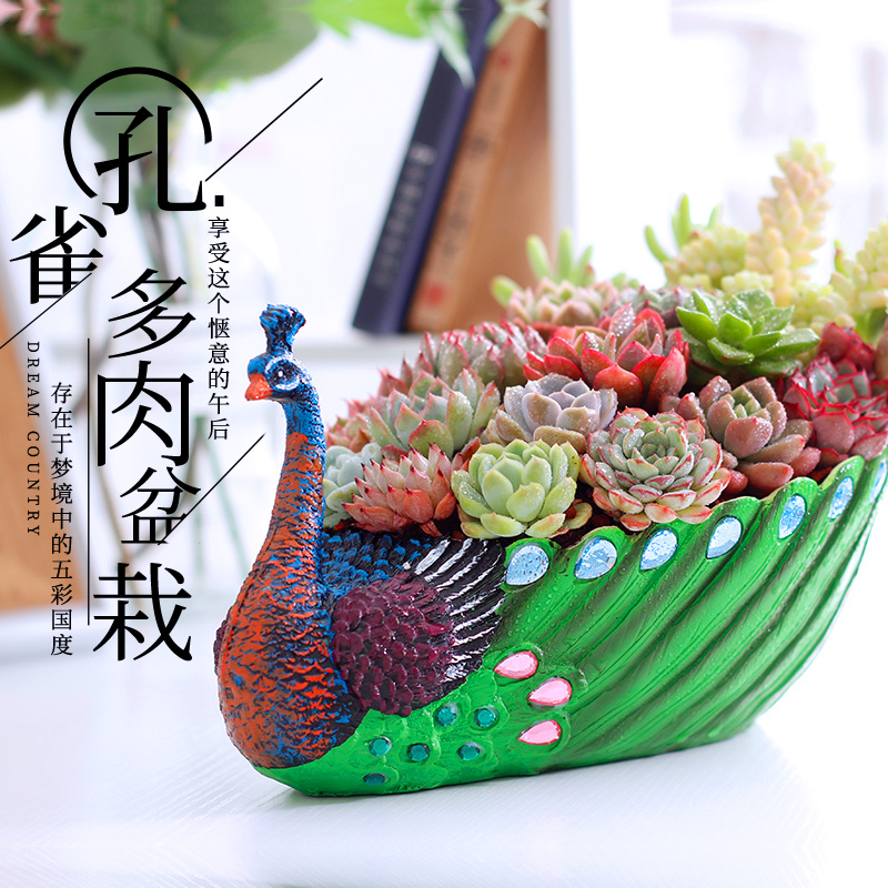 Valentine's Day succulent plant combination potted creative succulent suit Peacock open screen office green plant send girlfriend