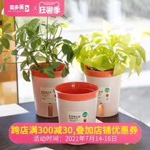 Lazy automatic watering flower pot balcony desktop PP plastic resin visual water level self-absorbing water-free watering flower pot