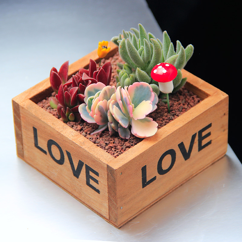 VEGETABLE beauty ZAKAA VINTAGE style combination WOODEN SUCCULENTS FLOWER POTS MICRO landscape Rectangular WOODEN BOX FLOWER POTS