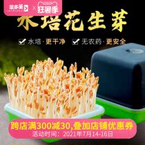 Vegetable multi-seed Peanut sprout germination artifact Hydroponic box Planting box Special plate Bean sprouts seedling seeds Bean sprout vegetable tank