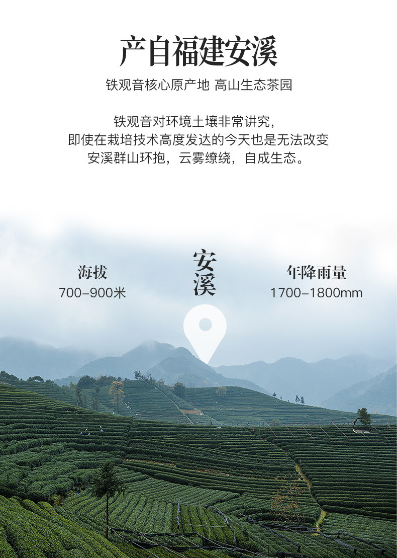 艺福堂 特级铁观音 500g 年货礼盒 图3