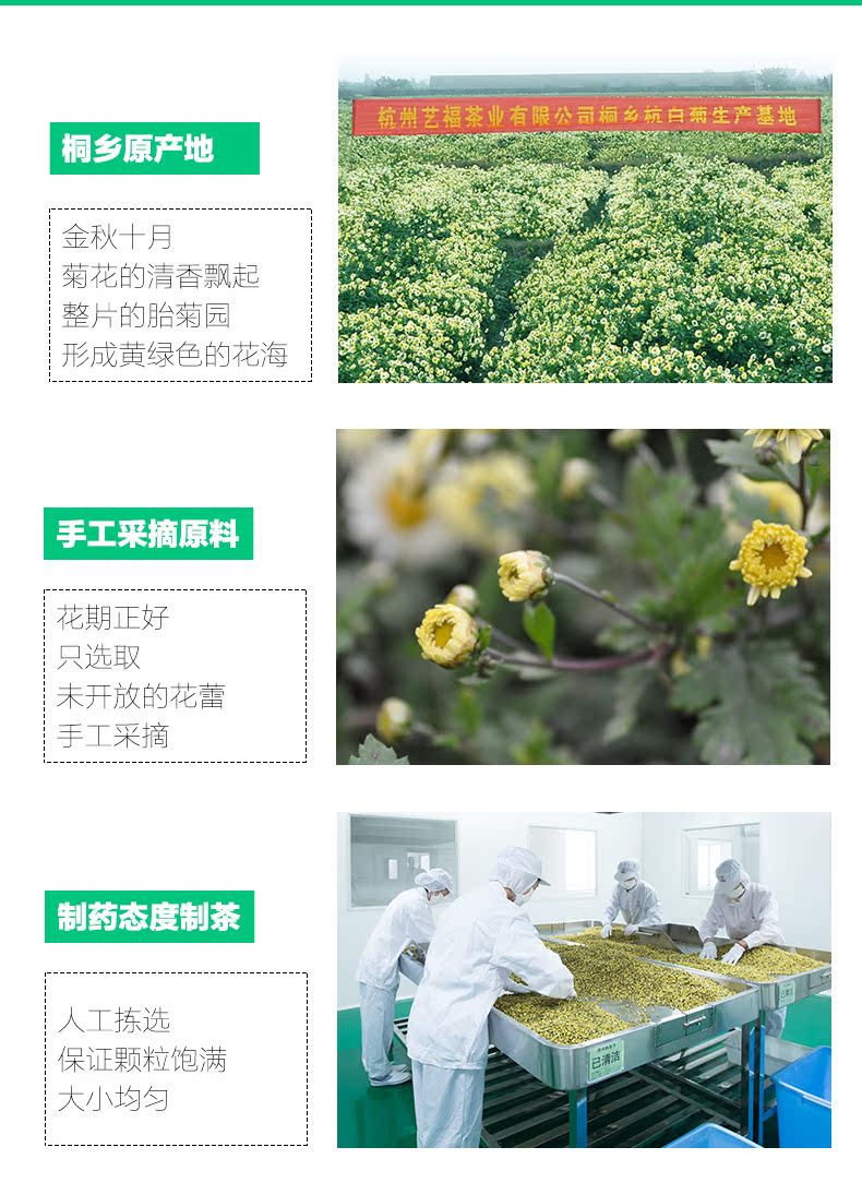 Chrysanthemum Buds Flower Floral Dried Herb Chinese Tea 艺福堂 中国 花草茶菊花茶 菊博士胎菊罐装80g