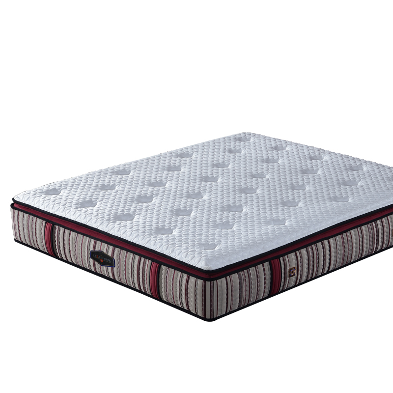 �ձ�˹�������Ϸ����齺����B15-01