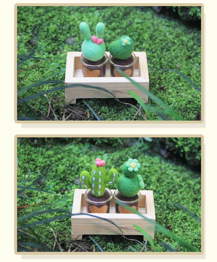 Succulents thư len cảm thấy chọc quà tặng vui vẻ món quà Ngày Valentine để gửi tài liệu công cụ vận chuyển - Công cụ & vật liệu may DIY phấn may
