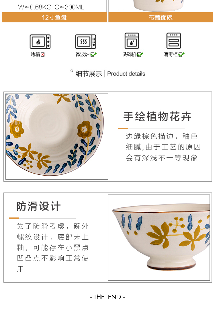 Sichuan in Japanese ceramics tableware home to eat noodles bowl of soup bowl of creative new fish plate western food steak plate