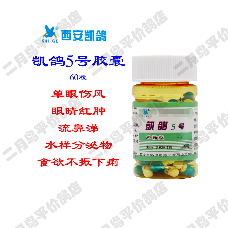 [Kai Ge 5] Viên nang 60 viên Chim bồ câu đua chim bồ câu Chim bồ câu cung cấp chấn thương mắt đơn nem số 5 quần áo lưới gốc - Chim & Chăm sóc chim Supplies phu kien long chim