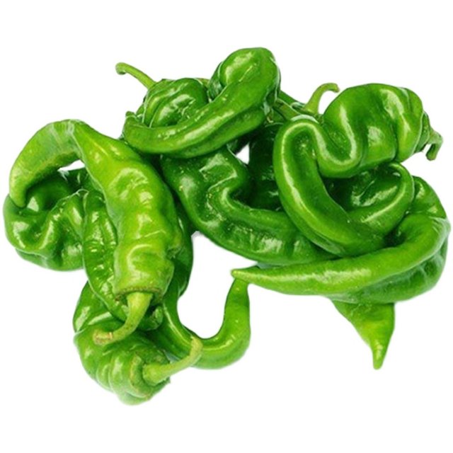 ເບ້ຍ ໝາກ ພິກໄທໃຫ້ຜົນຜະລິດສູງ, ເບ້ຍ ໝາກ ເຜັດຂະ ໜາດ ໃຫຍ່ພິເສດ, ເບ້ຍຜັກ, ລະບຽງ ໝາກ ພິກໄທສີ່ລະດູ potted peppers ສີຂຽວບາງໆ.